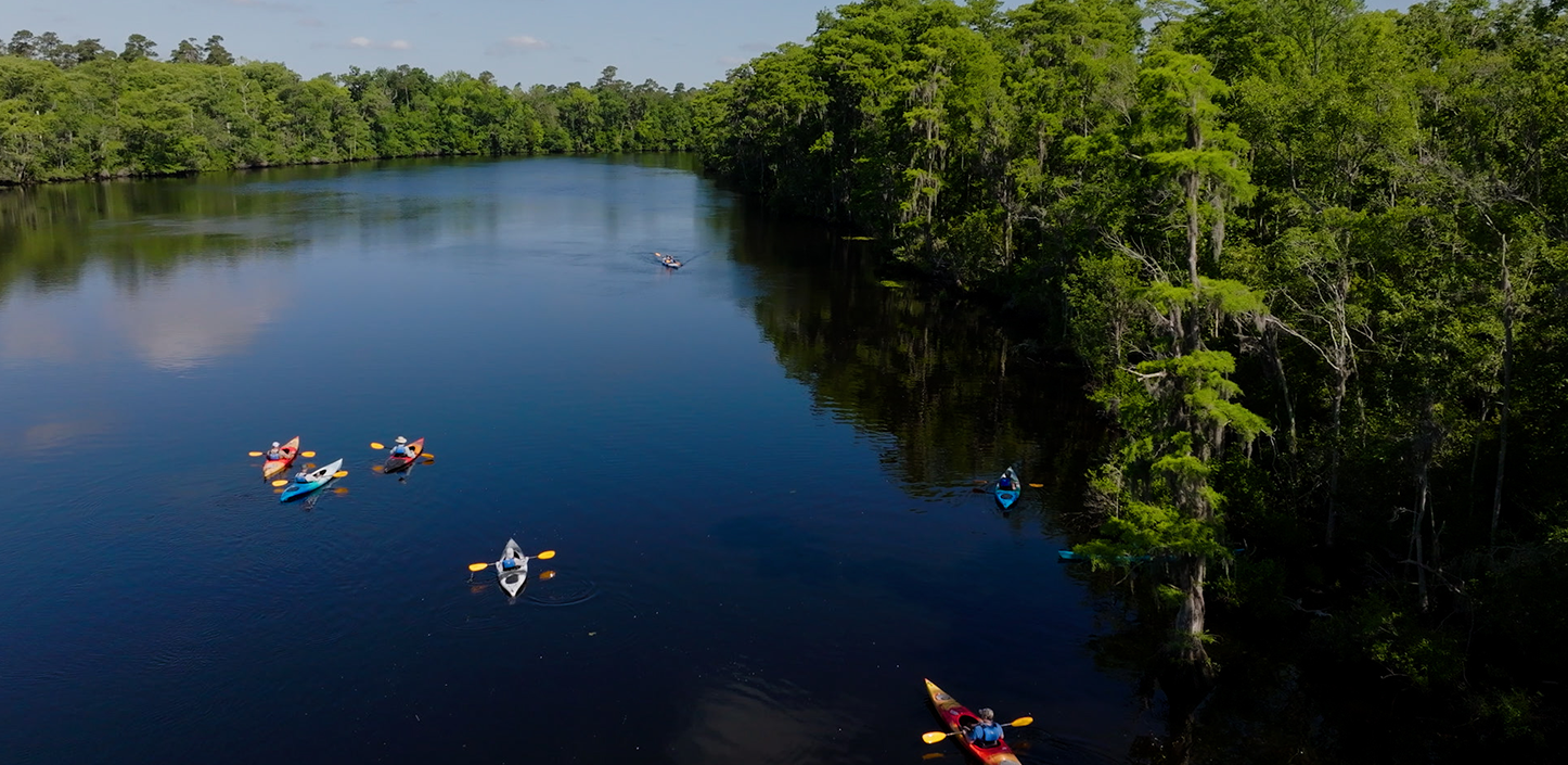Aerial view of several kayakers paddling colorful kayaks down a wide, dark river bordered by dense green forest, including cypress trees draped with Spanish moss along the right bank.