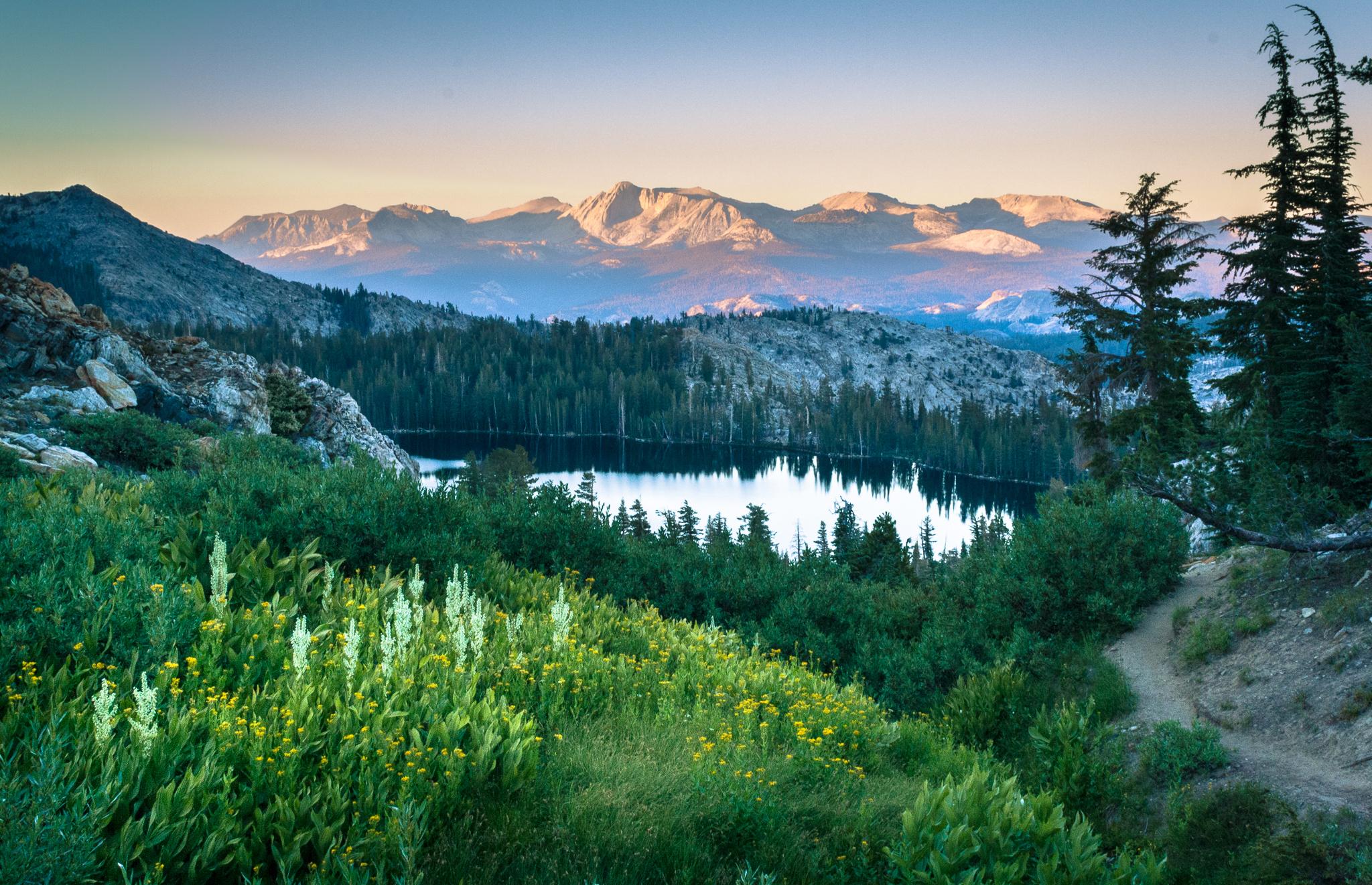 Northern California watershed with forests, meadows, and mountains