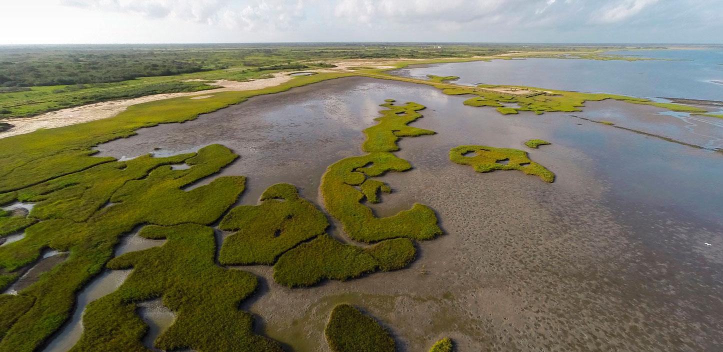 Aerial photo of fringe marshes along Powderhorn Lake