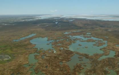 Aerial shot of the Colorado River Delta