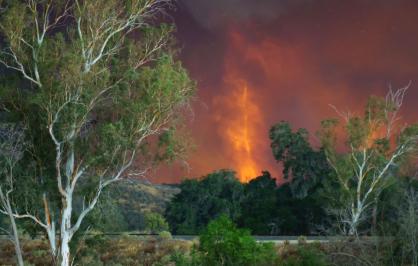 Fire, Angeles National Forest