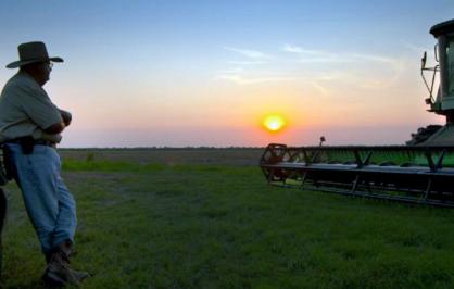 Louisiana farmer