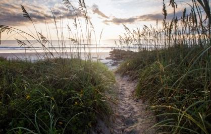 Pathway to the beach in Florida