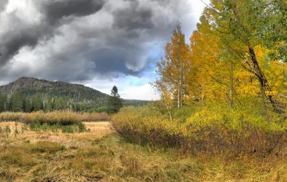 Cookhouse Meadow, Tahoe Basin | Credit: jcookfisher