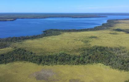 Lake Wimico