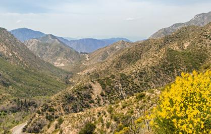 Angeles National Forest