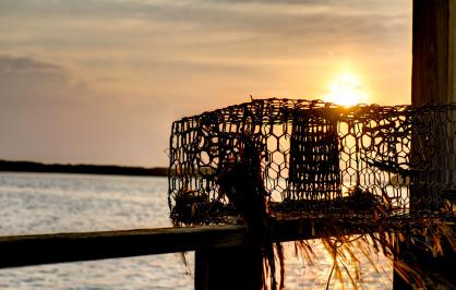 An abandoned crab pot on the Florida coast​ ​ 