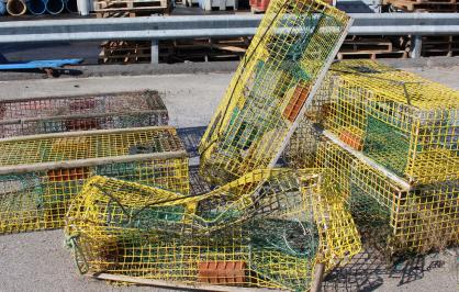 Derelict fishing gear