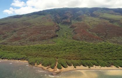 Keōmoku shoreline, Lana'i Island