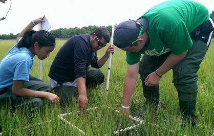 Partnership for the Delaware Estuary conducting research