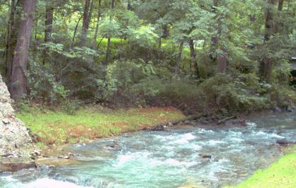 Mossy Creek after dam removed