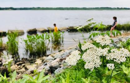 two people on a riverbank with flowers in the foreground