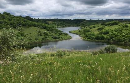 Appalachian Hills Wildlife Area