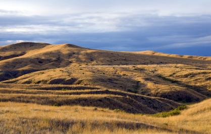 rolling grass covered hills with a moody sky