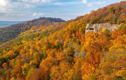 A scenic view of a forested landscape during autumn, showcasing a vibrant array of fall foliage in shades of orange, yellow, and green. The image features rolling hills covered in dense trees and a rocky cliff on the right side. The sky above is partly cloudy with patches of blue visible.