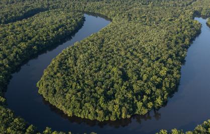 Aerial view of a winding river cutting through dense green forest, forming large curves and bends surrounded by lush vegetation.