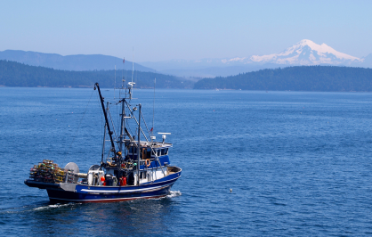 A small commercial fishing boat moves through calm blue water, with tree-lined islands and distant snow-capped mountains under a clear sky.