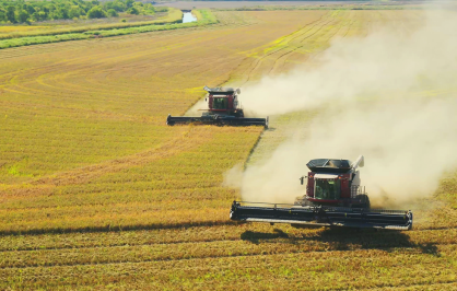 Two combine harvesters move through a large golden grain field, kicking up dust as they cut parallel rows, with a tree line and narrow river in the distance.