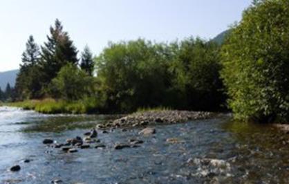 CBWTP-stream-banner.jpg
