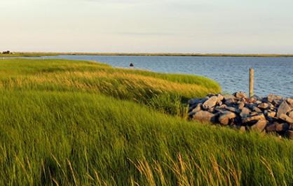 coastalresilience_banner2.jpg