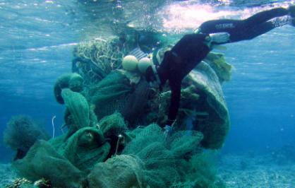 marine-debris-diver-ffe-website-banner.jpg