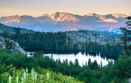 northern-california-program-homepage.jpg