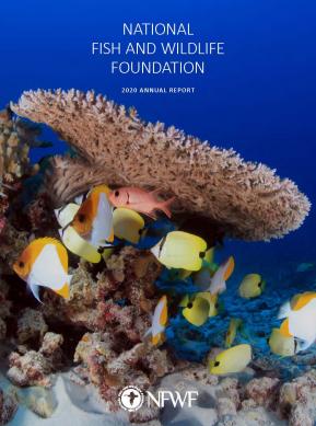 2020 Annual Report cover