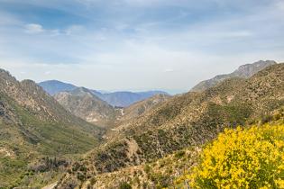 Angeles National Forest