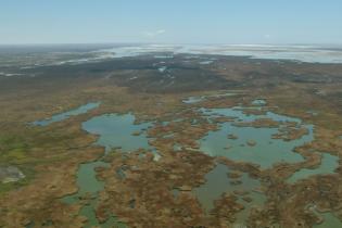 Aerial shot of the Colorado River Delta