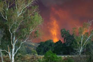 Fire, Angeles National Forest