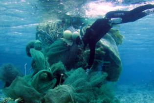 marine-debris-diver-ffe-website-banner.jpg marine-debris-diver-ffe-website-banner.jpg