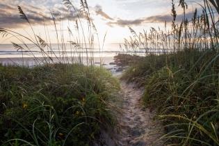 Pathway to the beach in Florida