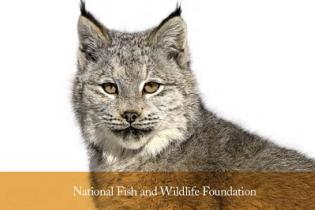 NFWF 30th Anniversary cover