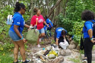 Volunteers remove debris from a park in Miami-Dade County, Florida, Credit: Phillip and Patricia Frost 