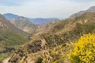 Angeles National Forest