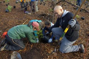 Community members plant trees at Lake Sammamish State Park in Washington, Credit: Mountains to Sound Greenway