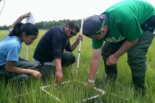 Partnership for the Delaware Estuary conducting research