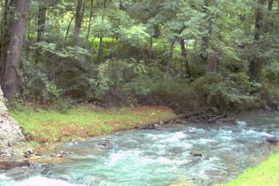 Mossy Creek after dam removed