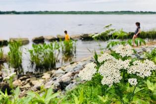 two people on a riverbank with flowers in the foreground