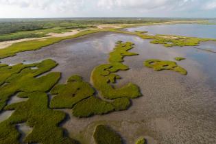 Aerial photo of fringe marshes along Powderhorn Lake