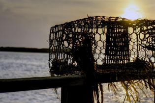 An abandoned crab pot on the Florida coast