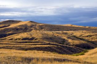 rolling grass covered hills with a moody sky