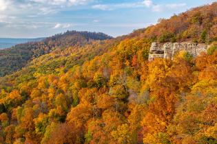 A scenic view of a forested landscape during autumn, showcasing a vibrant array of fall foliage in shades of orange, yellow, and green. The image features rolling hills covered in dense trees and a rocky cliff on the right side. The sky above is partly cloudy with patches of blue visible.