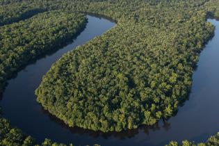 Aerial view of a winding river cutting through dense green forest, forming large curves and bends surrounded by lush vegetation.