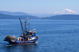 A small commercial fishing boat moves through calm blue water, with tree-lined islands and distant snow-capped mountains under a clear sky.