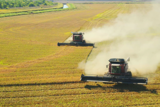 Two combine harvesters move through a large golden grain field, kicking up dust as they cut parallel rows, with a tree line and narrow river in the distance.