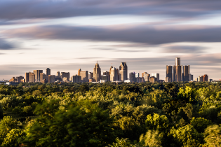 Panoramic view of a city skyline rising above a dense canopy of green trees, with tall modern and historic buildings in the distance under a sky filled with soft, streaked clouds and warm evening light.