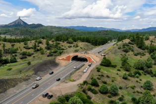 Aerial view of a wildlife overpass spanning a two-lane highway through a forested mountain landscape. Several vehicles travel along the road beneath the broad, landscaped crossing, while rolling hills, pine-covered slopes, and distant mountains stretch across the background under a sky filled with large white clouds. A distinctive rocky peak rises above the horizon in the distance.