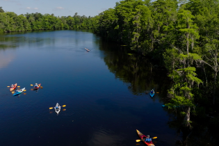 Aerial view of several kayakers paddling colorful kayaks down a wide, dark river bordered by dense green forest, including cypress trees draped with Spanish moss along the right bank.