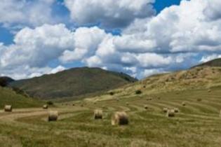 CBWTP-hay-field-banner.jpg